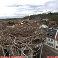 15_45-nest.jpg