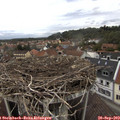 15_50-nest.jpg
