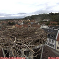 15_55-nest.jpg