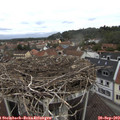 16_00-nest.jpg