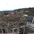 16_05-nest.jpg