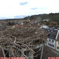 16_10-nest.jpg