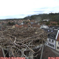 16_15-nest.jpg