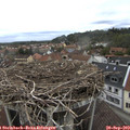 16_20-nest.jpg