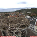 16_25-nest.jpg