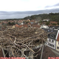 16_30-nest.jpg