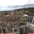16_35-nest.jpg