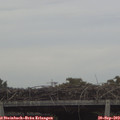 16_40-mast.jpg