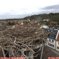 16_40-nest.jpg