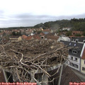 16_45-nest.jpg
