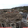 16_50-nest.jpg