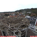16_55-nest.jpg