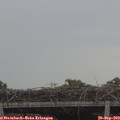 17_05-mast.jpg