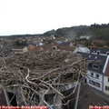 17_05-nest.jpg