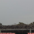 17_10-mast.jpg