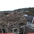 17_15-nest.jpg