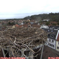17_20-nest.jpg