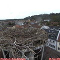 17_25-nest.jpg