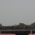 17_35-mast.jpg