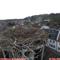 17_35-nest.jpg