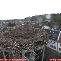 17_40-nest.jpg