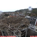 17_45-nest.jpg