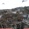 18_10-nest.jpg