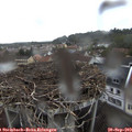 18_20-nest.jpg