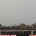 18_35-mast.jpg
