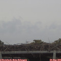 18_40-mast.jpg