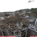 18_45-nest.jpg
