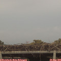 18_55-mast.jpg