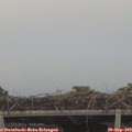 19_00-mast.jpg