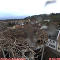 19_05-nest.jpg