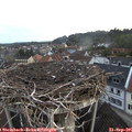 07_20-nest.jpg
