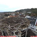 07_25-nest.jpg
