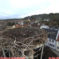 07_30-nest.jpg
