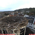 07_35-nest.jpg