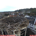 07_40-nest.jpg