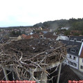 07_45-nest.jpg