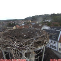 07_55-nest.jpg