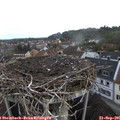 08_00-nest.jpg