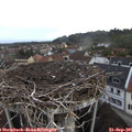 08_15-nest.jpg
