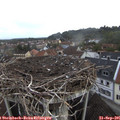 08_25-nest.jpg
