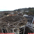 08_40-nest.jpg