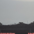 08_55-mast.jpg