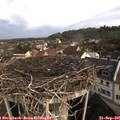 09_05-nest.jpg