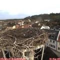 09_10-nest.jpg