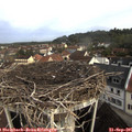 09_15-nest.jpg