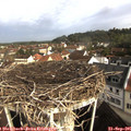09_20-nest.jpg